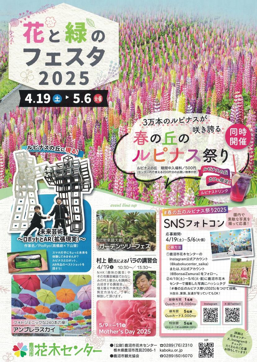 花木センタールピナス祭り.jpeg