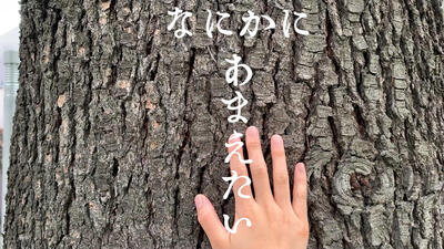 小松