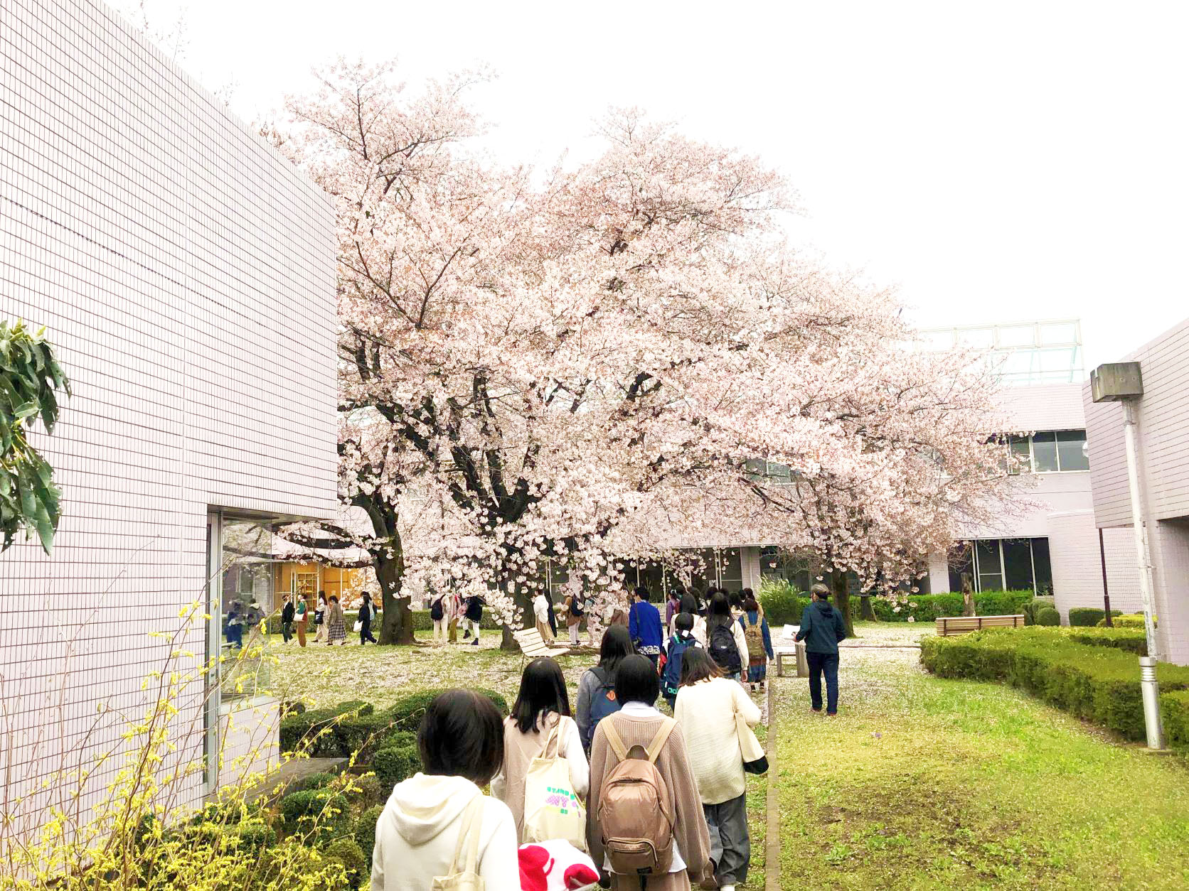 美学美術史学科の新入生研修行事を行いました