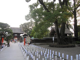 灯籠宵まつりに参加の写真5.jpg