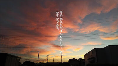 05大沢真結
