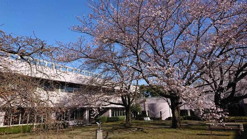 春の庭